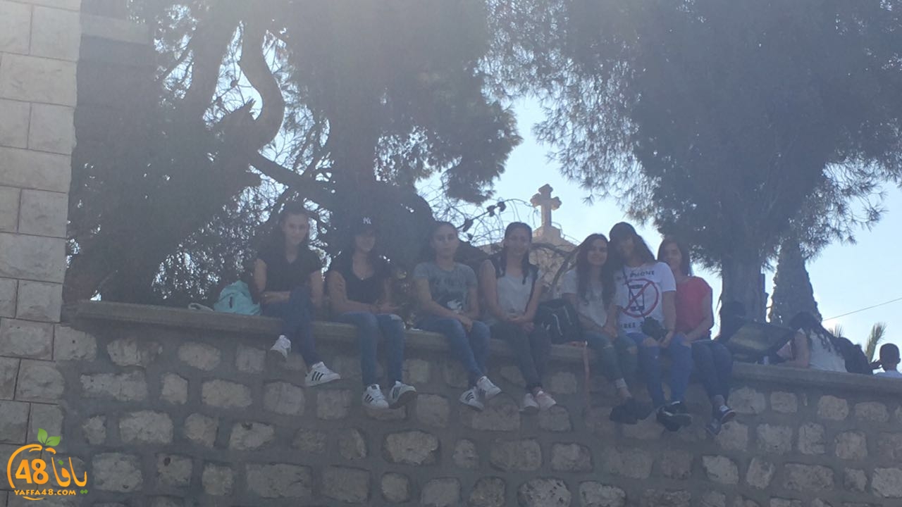 kanizsa yaffa (16).jpg